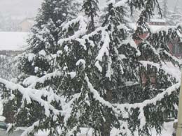 neve del 7 marzo 2004 7